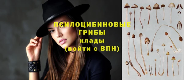 скорость Арсеньев