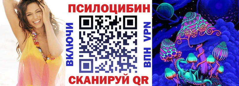 Псилоцибиновые грибы Psilocybe Ртищево